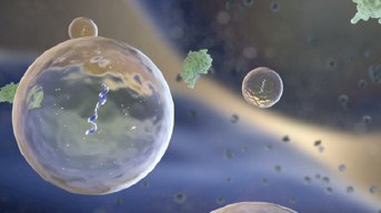 ARSLA - projet exosome